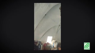 جَنّة.. بقيت لتشهد!