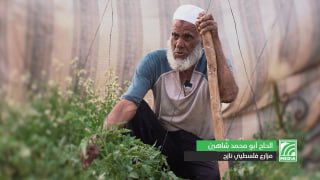 زارعُ الأمل